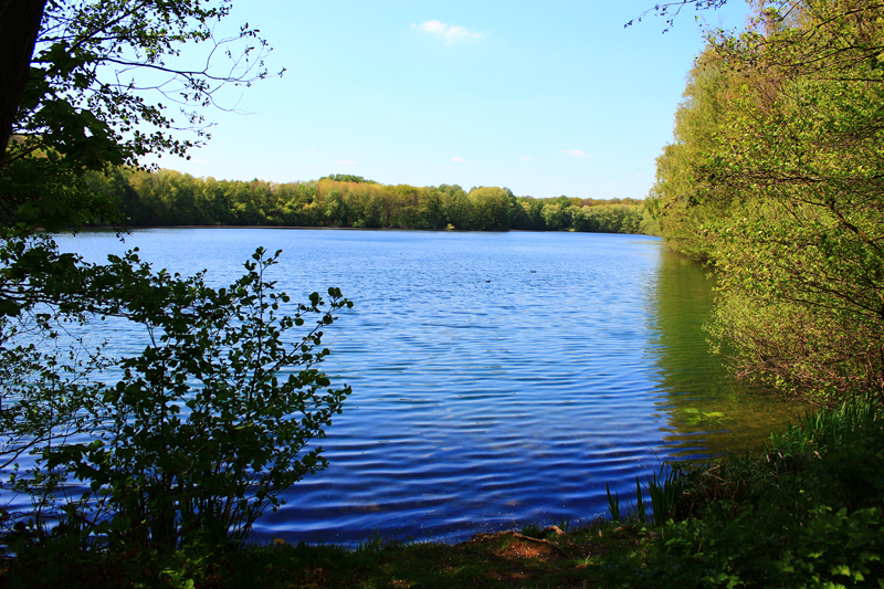 Der Heitkampsee aus dem Blickwinkel vom Ufer