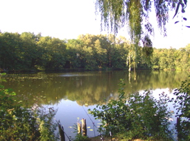 heitkamp ausblick.jpg