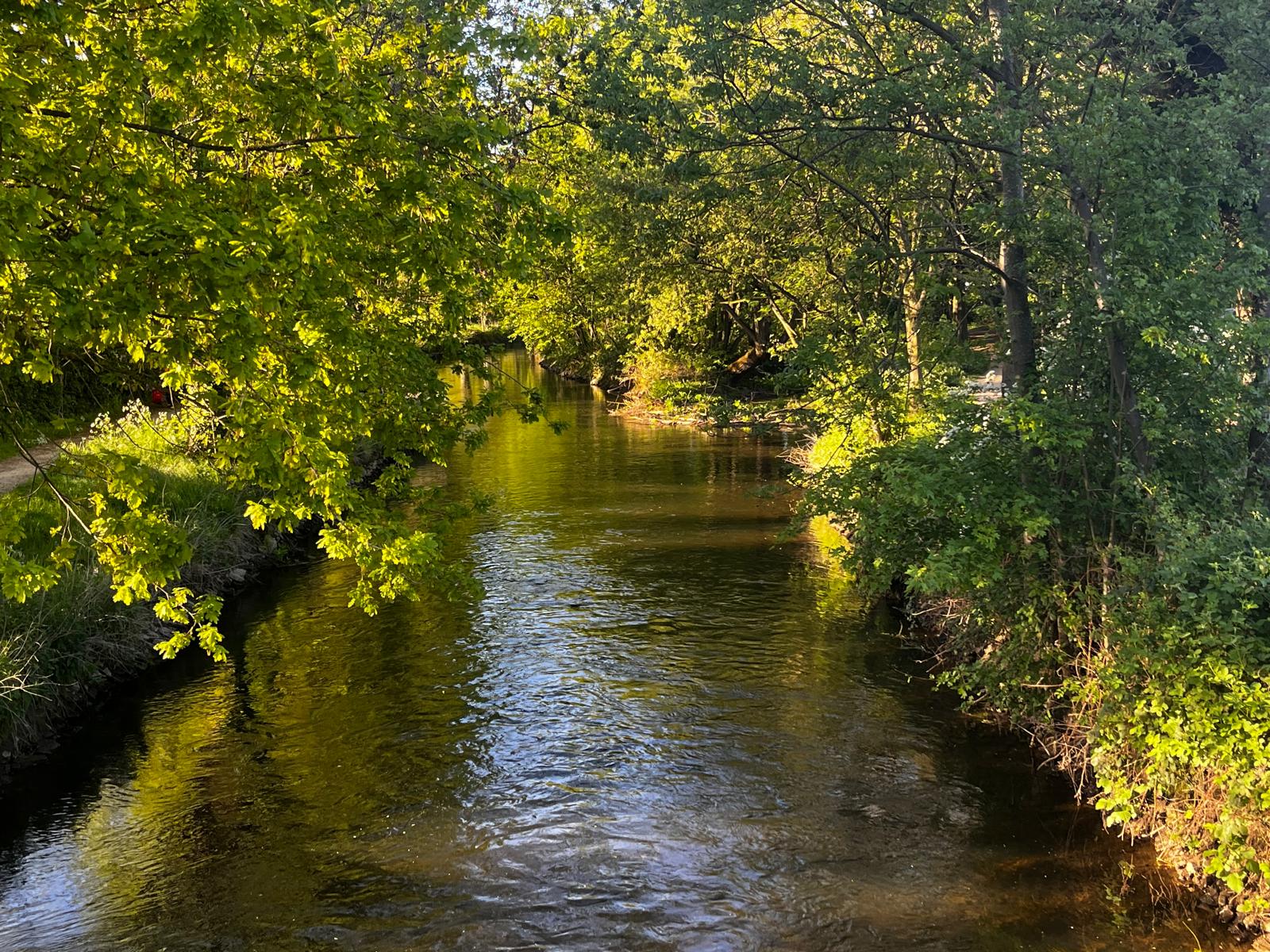 Der Fluss Niers in Geldern umgeben von Bäumen