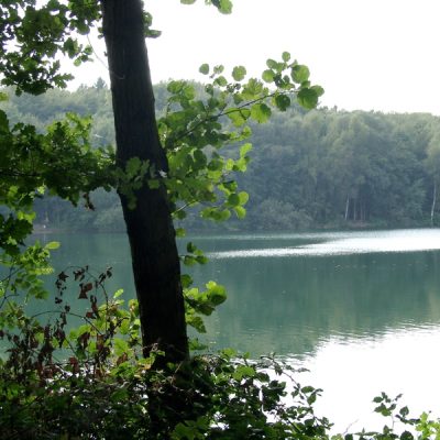 Eine Aussicht auf den Heitkampsee beim angeln