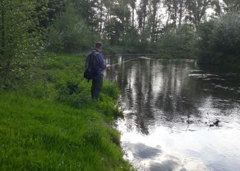 Ein Mann angelt an der Niers in Geldern